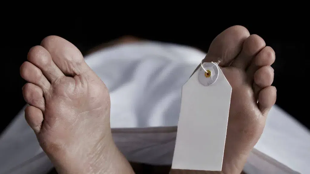 From Ecstasy to Tragedy: Doctors Reveal Why People Die During Sex